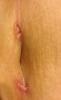 post-50966-1381366594684_thumb.jpg