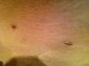 post-57747-13813665918324_thumb.jpg