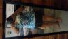 post-205996-0-29884500-1430606572_thumb.jpg