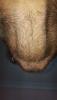 post-254366-0-32757800-1462265823_thumb.jpg
