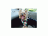 post-206439-1381313358143_thumb.gif