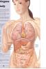 post-56425-1381366698952_thumb.jpg