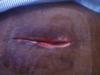 post-61133-13813667003701_thumb.jpg
