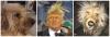 post-175552-0-22430700-1466203078_thumb.jpg