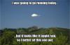 post-293180-14657632696078_thumb.jpg