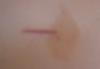 post-213702-13813135264548_thumb.jpg