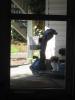 post-220150-13813139460664_thumb.jpg