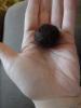post-1209-13813667839533_thumb.jpg
