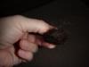 post-1209-13813667839953_thumb.jpg