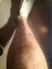 post-33826-138136676909_thumb.jpg