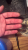 post-33826-13813668148324_thumb.png