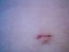 post-204835-13813132082217_thumb.jpg