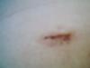 post-204835-13813132083963_thumb.jpg