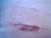 post-204835-13813132084795_thumb.jpg