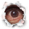 post-205997-13813134008735_thumb.gif