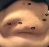 post-37733-13813659793963_thumb.jpg