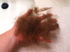 post-7941-13813659491923_thumb.png
