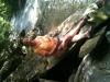 post-2638-138136688204_thumb.jpg