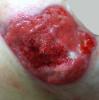 post-325580-13813142289829_thumb.jpg