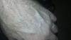 post-33826-138136688617_thumb.png