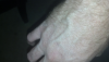 post-33826-13813668862159_thumb.png