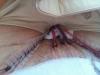 post-47355-13813668428969_thumb.jpg