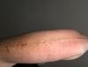 post-237953-0-19100400-1471985987_thumb.jpeg