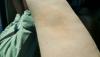 post-275798-14709258308632_thumb.jpg