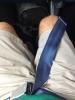 post-286877-14724061062332_thumb.jpg