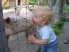 post-208113-13813134175995_thumb.jpg
