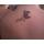 post-215289-13813138657373_thumb.jpg