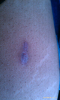 post-14157-13813810210427_thumb.png