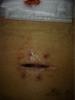 post-24657-13813810422733_thumb.jpg
