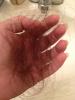 post-31248-13813659978813_thumb.jpg