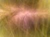 post-31248-13813659979552_thumb.jpg