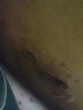 post-32489-13813813011998_thumb.png