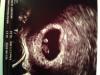 post-41889-13813669861797_thumb.jpg