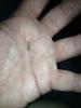 post-59032-13813670148149_thumb.jpg