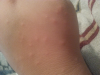 post-65209-13813670153342_thumb.png