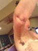 post-180464-0-97201500-1410655344_thumb.jpg