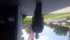 post-268691-14738964100825_thumb.jpg