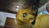 post-297678-14750220071446_thumb.jpg