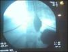 post-210677-13813135723224_thumb.jpg