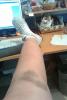post-214707-13813139651931_thumb.jpg