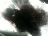 post-20765-13813810549554_thumb.jpg