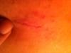 post-32643-13813660443587_thumb.jpg