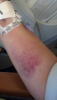 post-37061-13813660526224_thumb.png