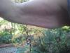 post-12388-13813670585137_thumb.jpg