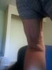 post-12388-13838396144793_thumb.jpg