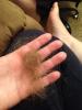 post-32888-13813813271089_thumb.jpg